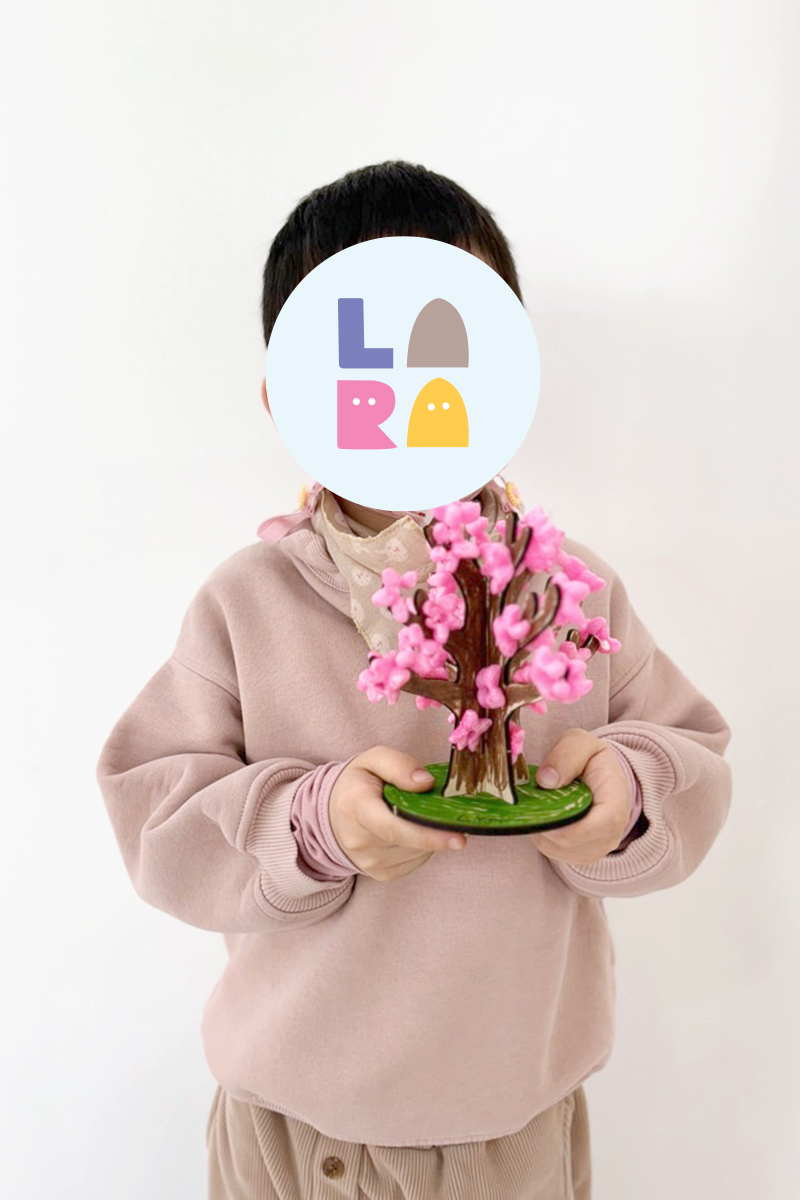 portfolio item name